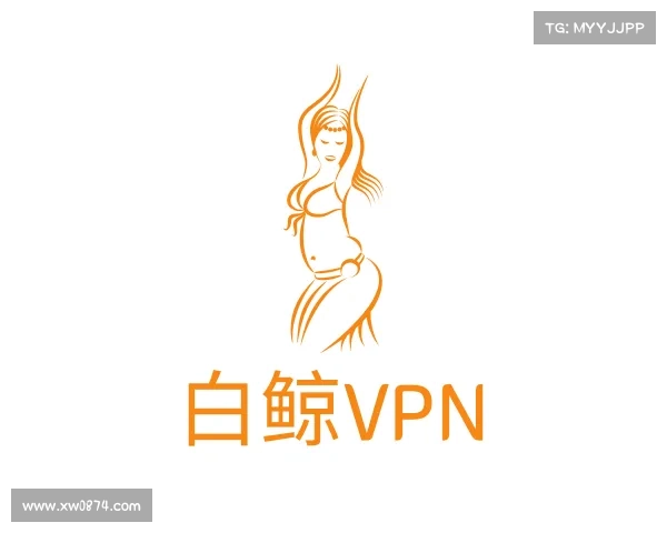 介绍白鲸VPN